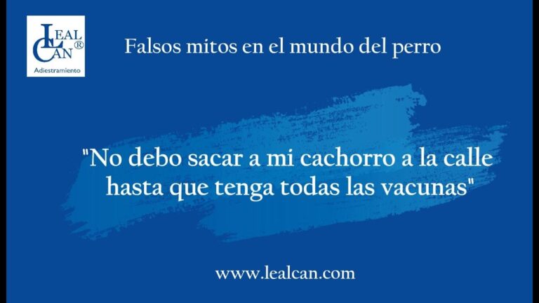 Tercera vacuna: eficacia y recomendaciones a 3 días