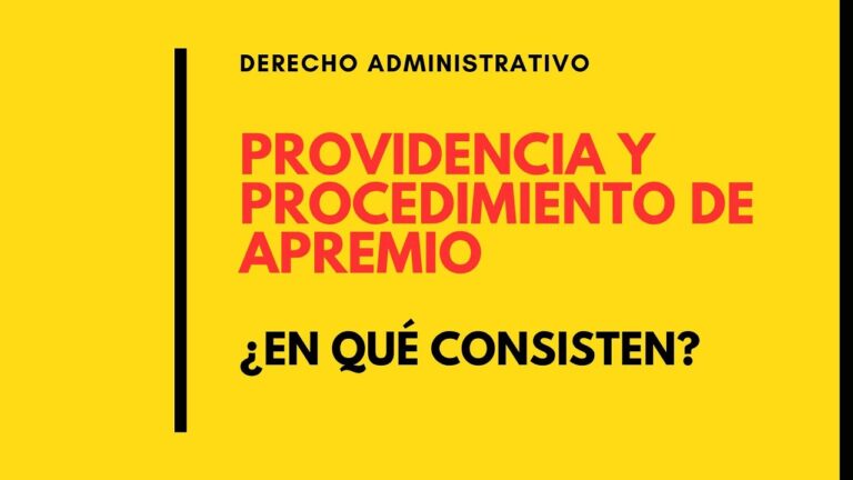 Guía para el Documento de Pago de Providencia de Apremio