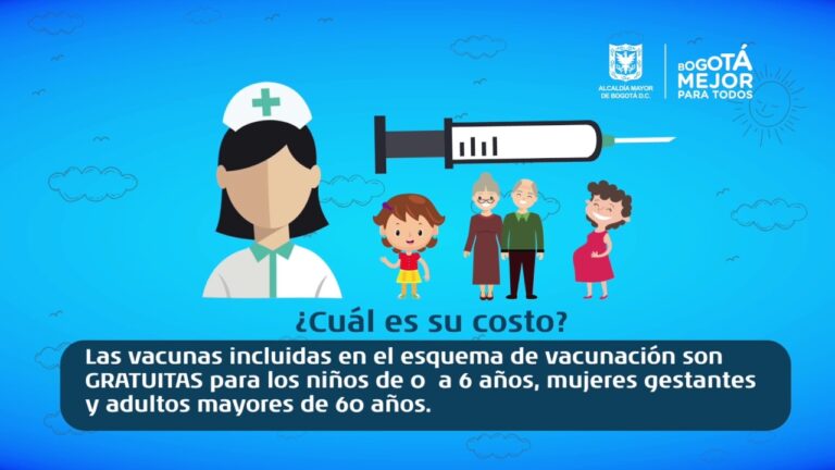 Costo de Vacunas para Gatos: Lo Que Debes Saber